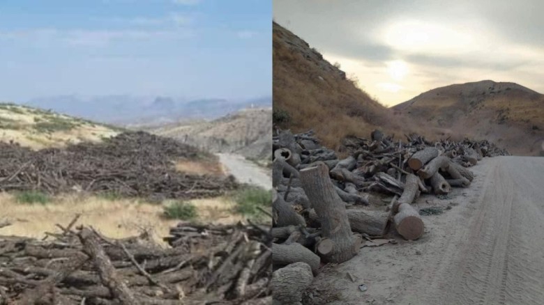 الأمن النيابية العراقية: تركيا تسرق أشجارنا وتبيعنا فحمها