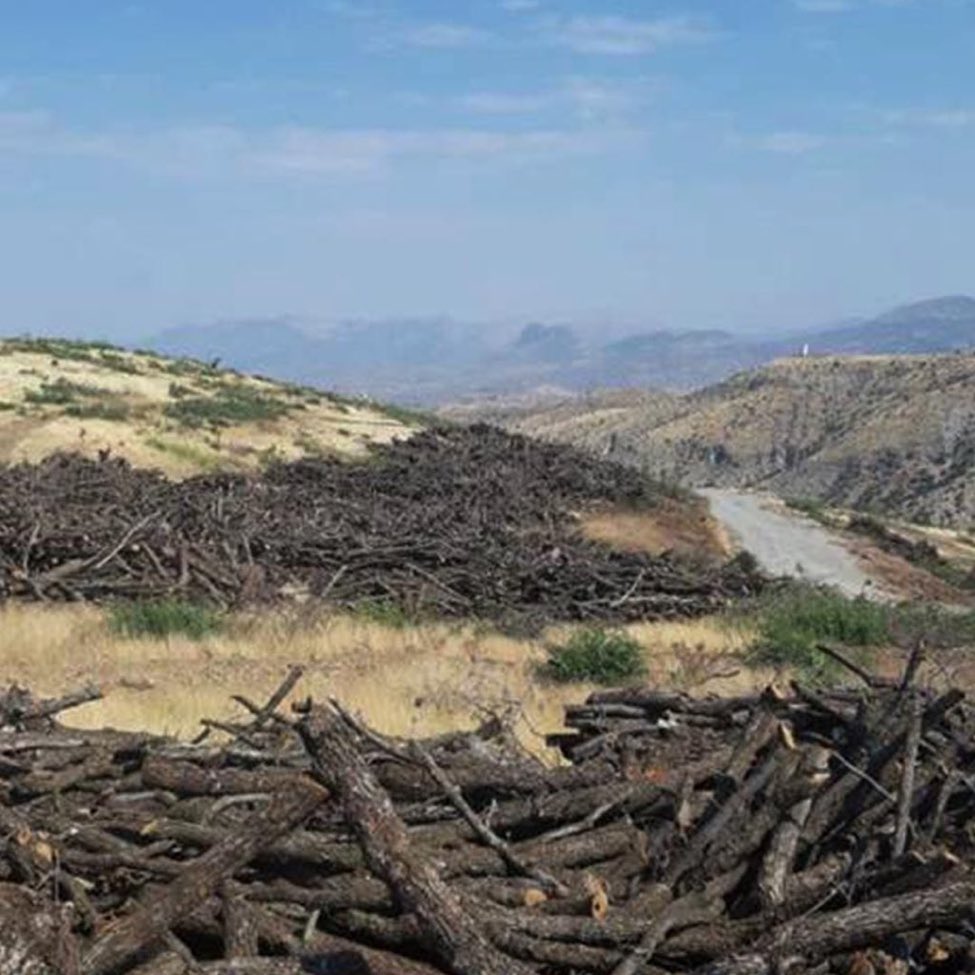 الرئيس برهم صالح بشأن قطع الاشجار: ممارسات تركيا جريمة بيئية