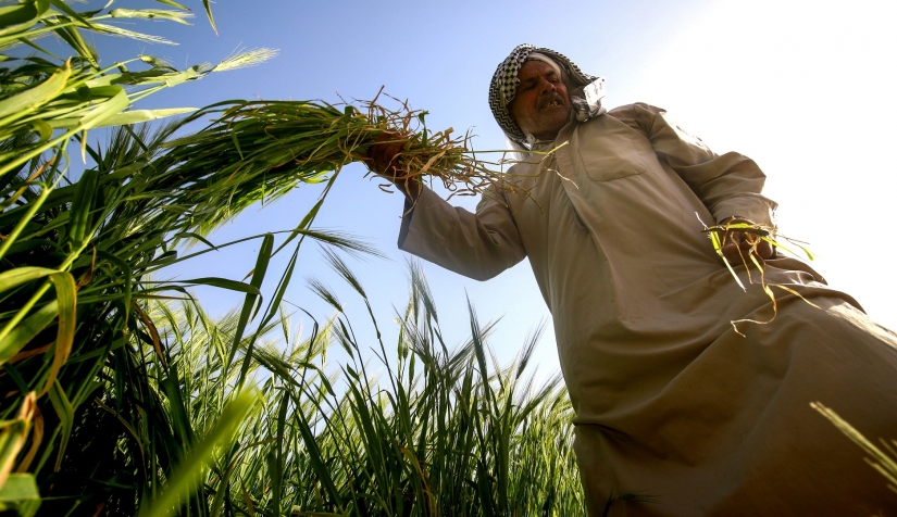 بفعل صدام وأمريكا.. العراق يحصد سنوات المحسوبية والفساد بفقدان ركيزة الدولة