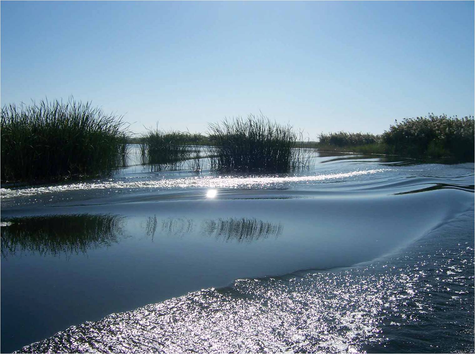 بالارقام.. الكشف عن إيرادات الماء التي يحصل عليها العراق من دول الجوار