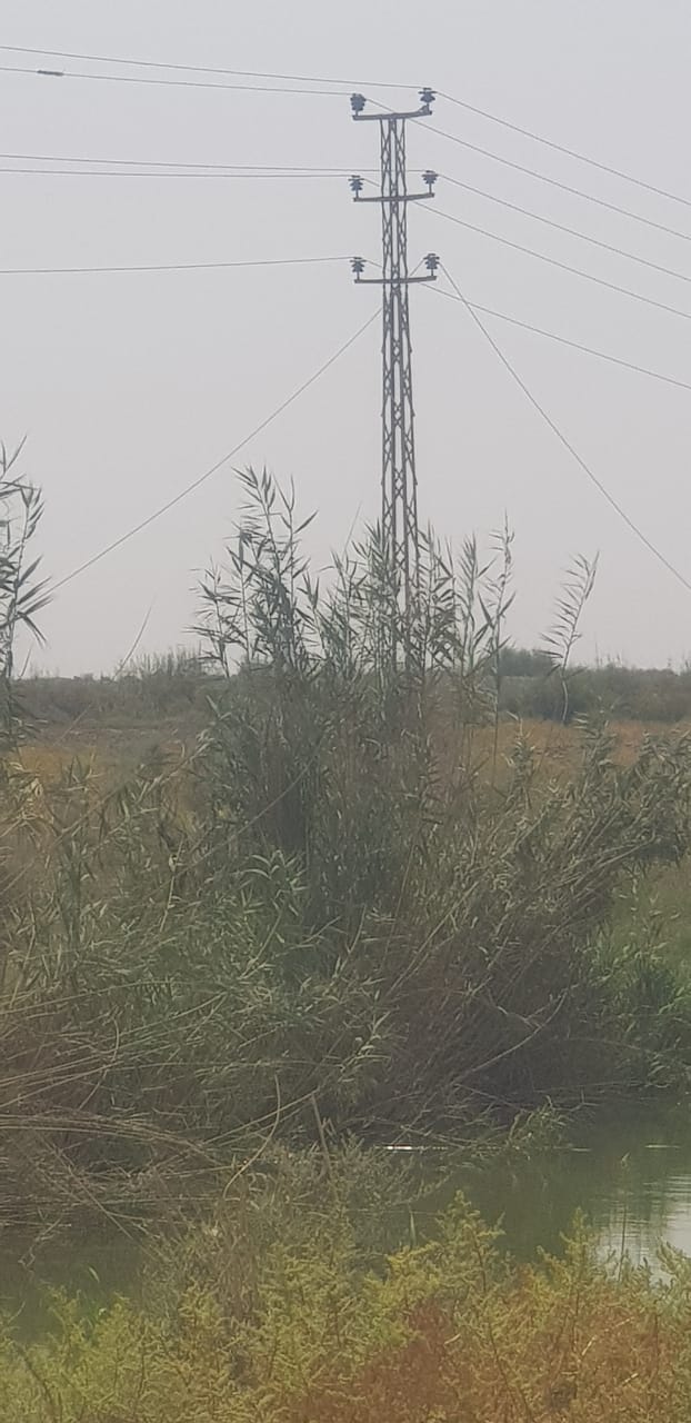 سرقة لأسلاك الكهرباء تخرج محطة عن العمل في ميسان