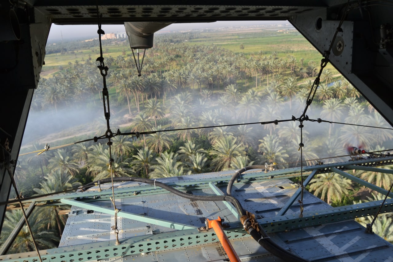 الجمعيات الفلاحية في كربلاء تطالب بإجراء حملة المكافحة الجوية الخريفية للقضاء على حشرة الدوباس