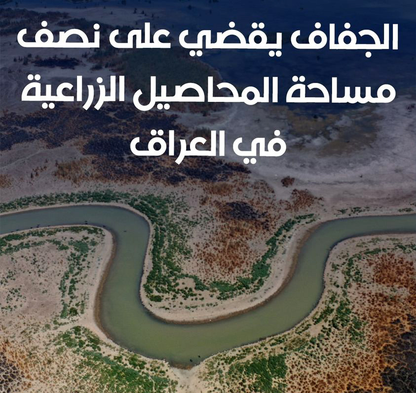 العراق.. انخفاض مساحة المحاصيل الزراعية إلى النصف