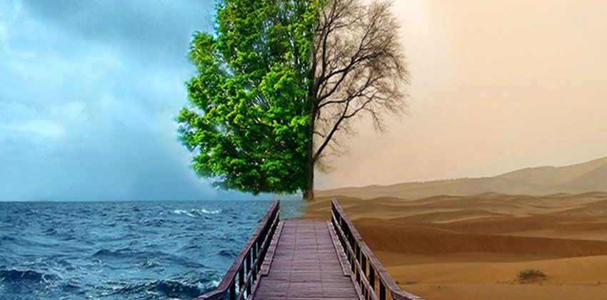 عالم من معهد ماساتشوستس للتكنولوجيا يزعم أننا على وشك الانقراض الجماعي !