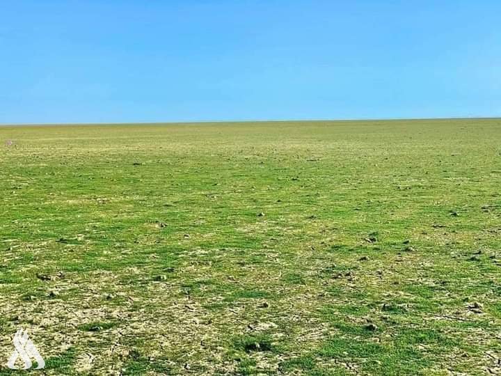 واسط.. قرية حدودية تدفع ثمن الحرب "العراقية الايرانية" حتى الآن !