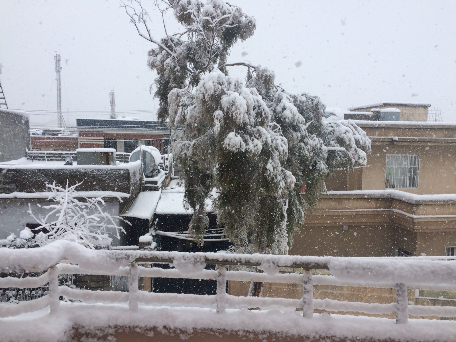 منخفض "شبه قطبي" يمدد موجة البرد في العراق