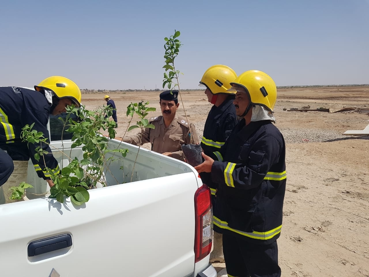 لمواجهة العواصف الترابية .. العراق يطلق حملة تشجير شاملة