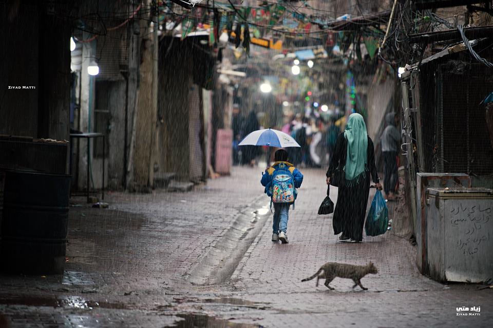 توقعات بهطول غزير للأمطار وتراجع درجات الحرارة في العراق الأسبوع المقبل