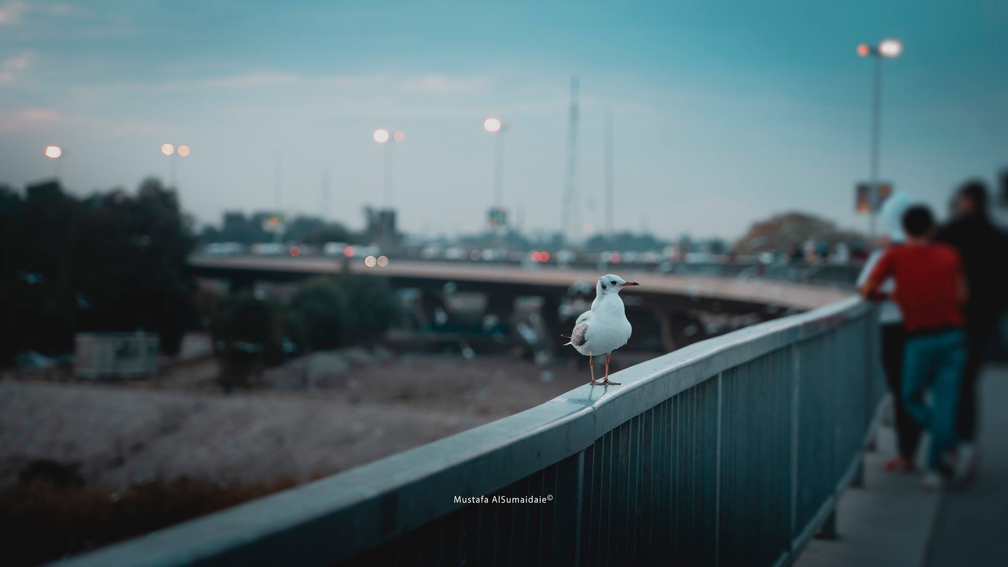 مختبئين في الجادرية.. الاستخبارات العراقية تطيح بـ"أجنبي" يقود شبكة إتجار بالبشر