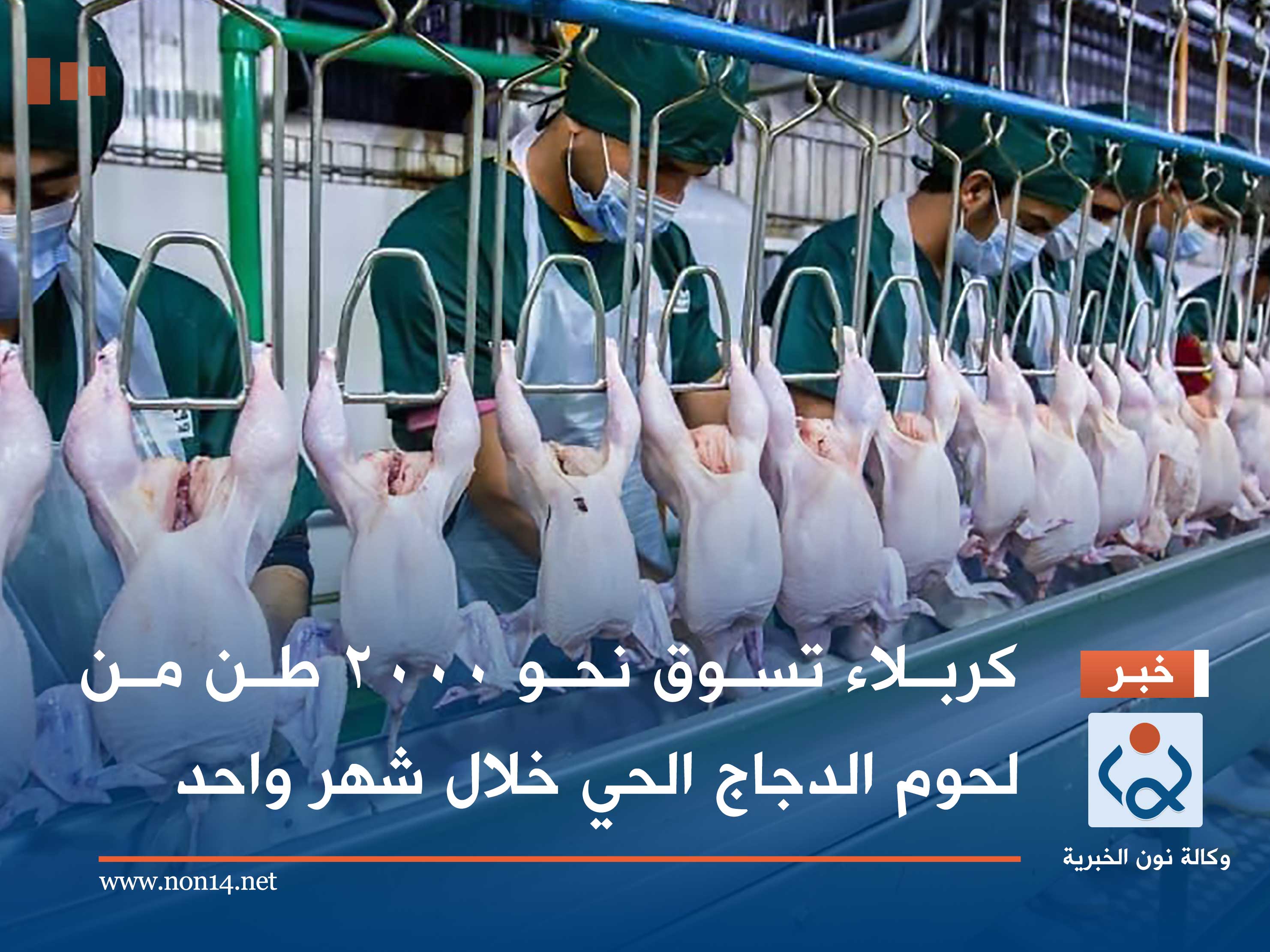 كربلاء تسوق نحو 2000 طن من لحوم الدجاج الحي خلال شهر واحد