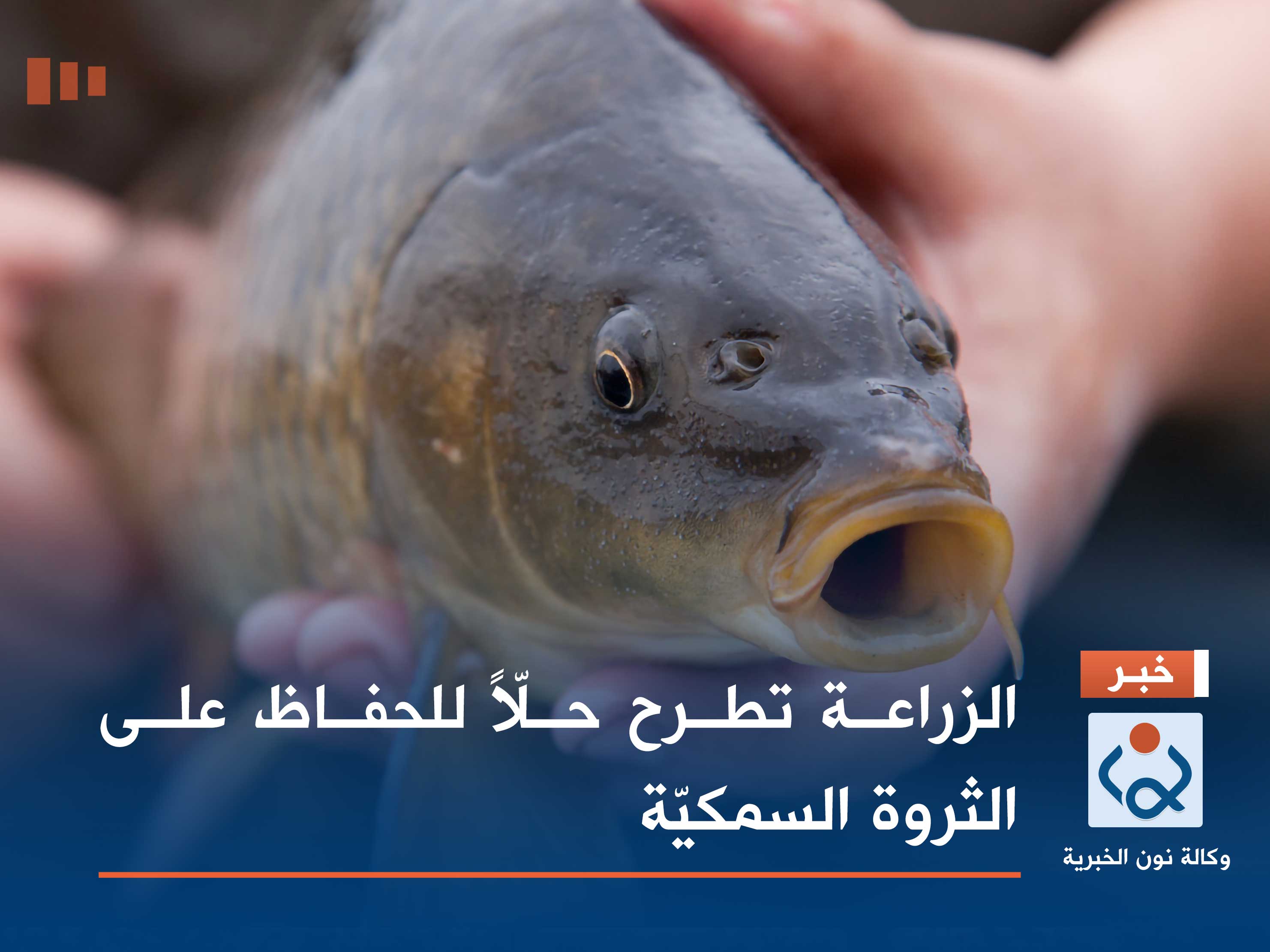 الزراعة تطرح حلّاً للحفاظ على الثروة السمكيّة