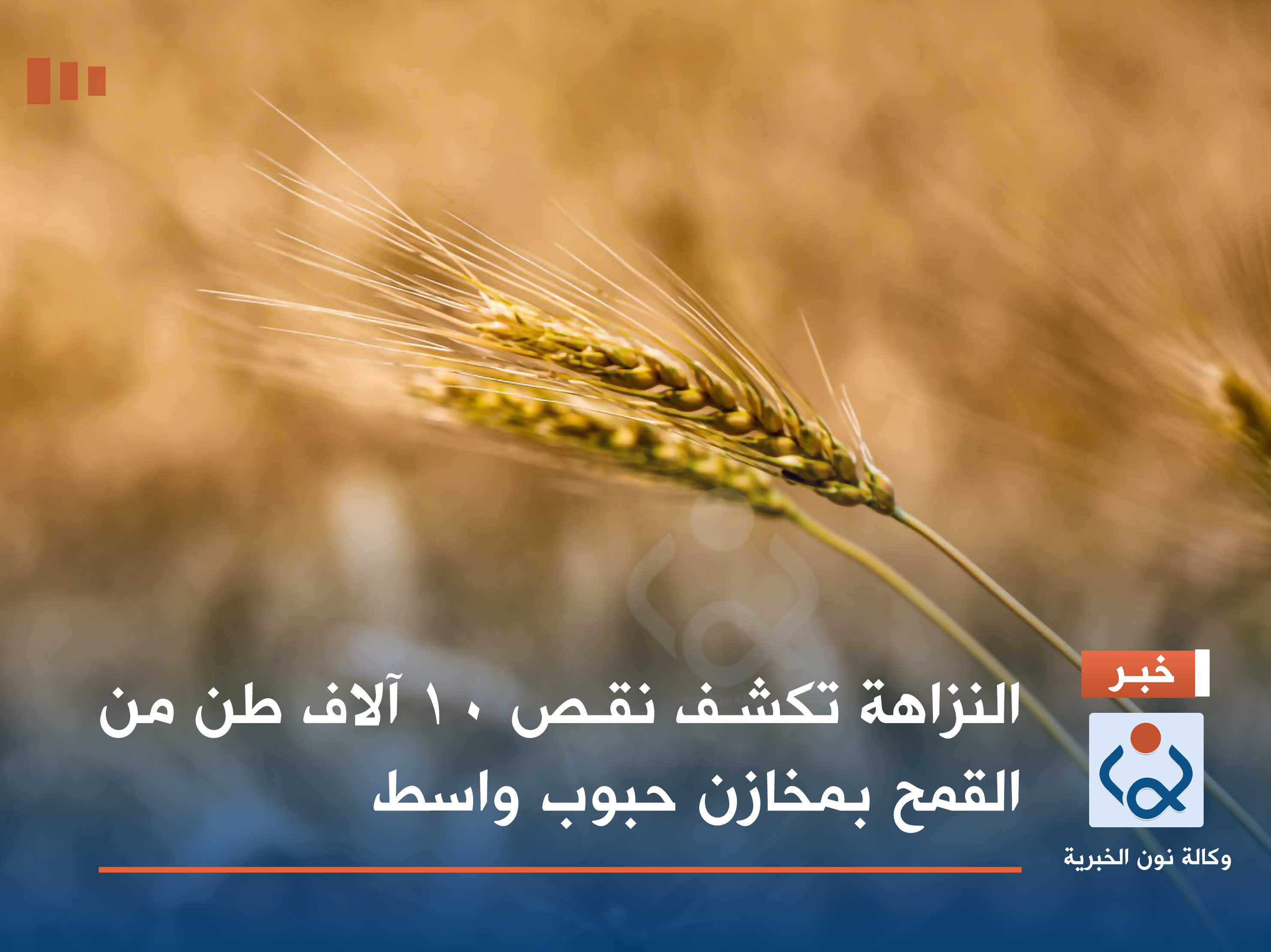 النزاهة تكشف نقص 10 آلاف طن من القمح بمخازن حبوب واسط