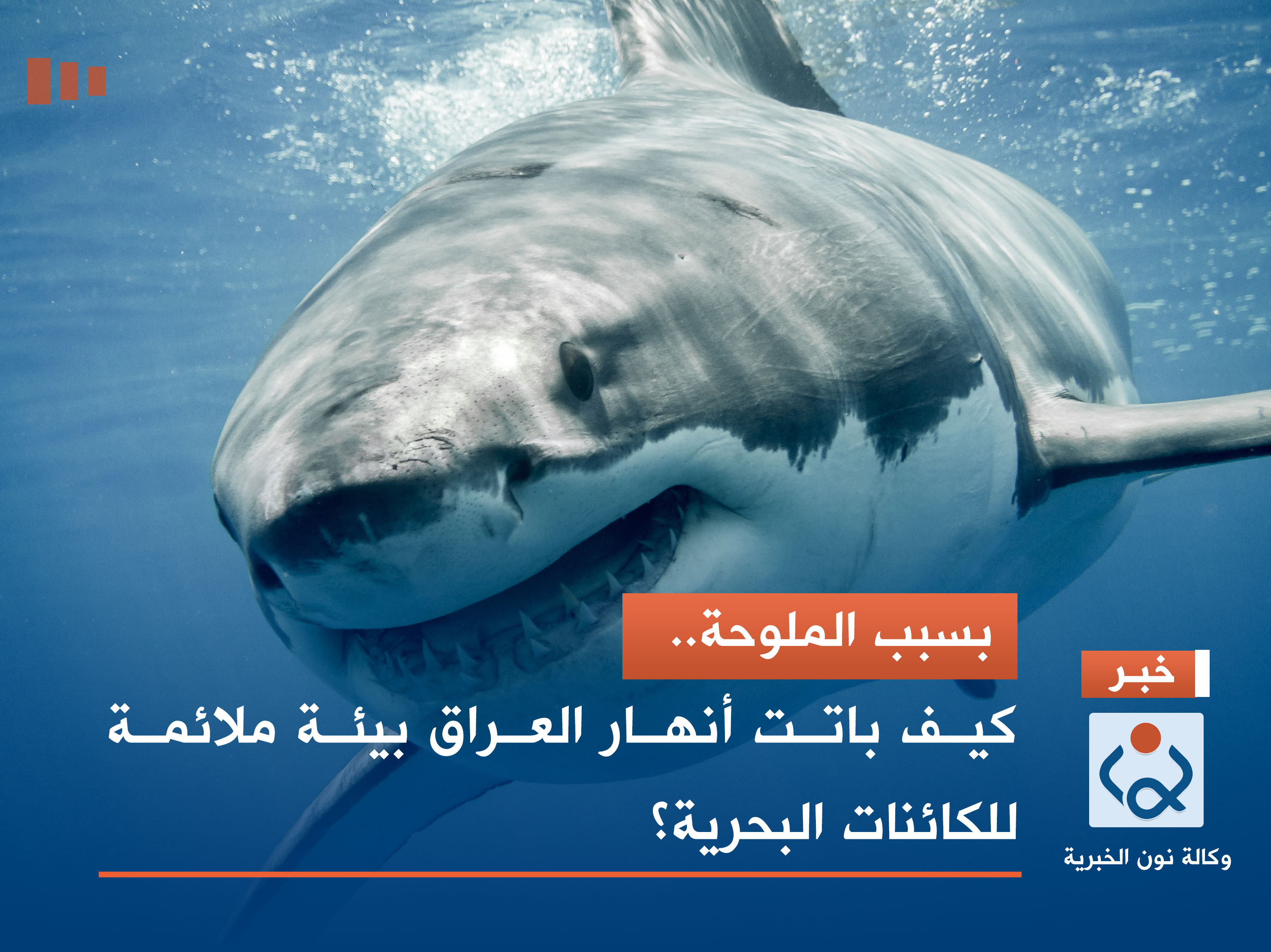 بسبب الملوحة.. كيف باتت أنهار العراق بيئة ملائمة للكائنات البحرية؟