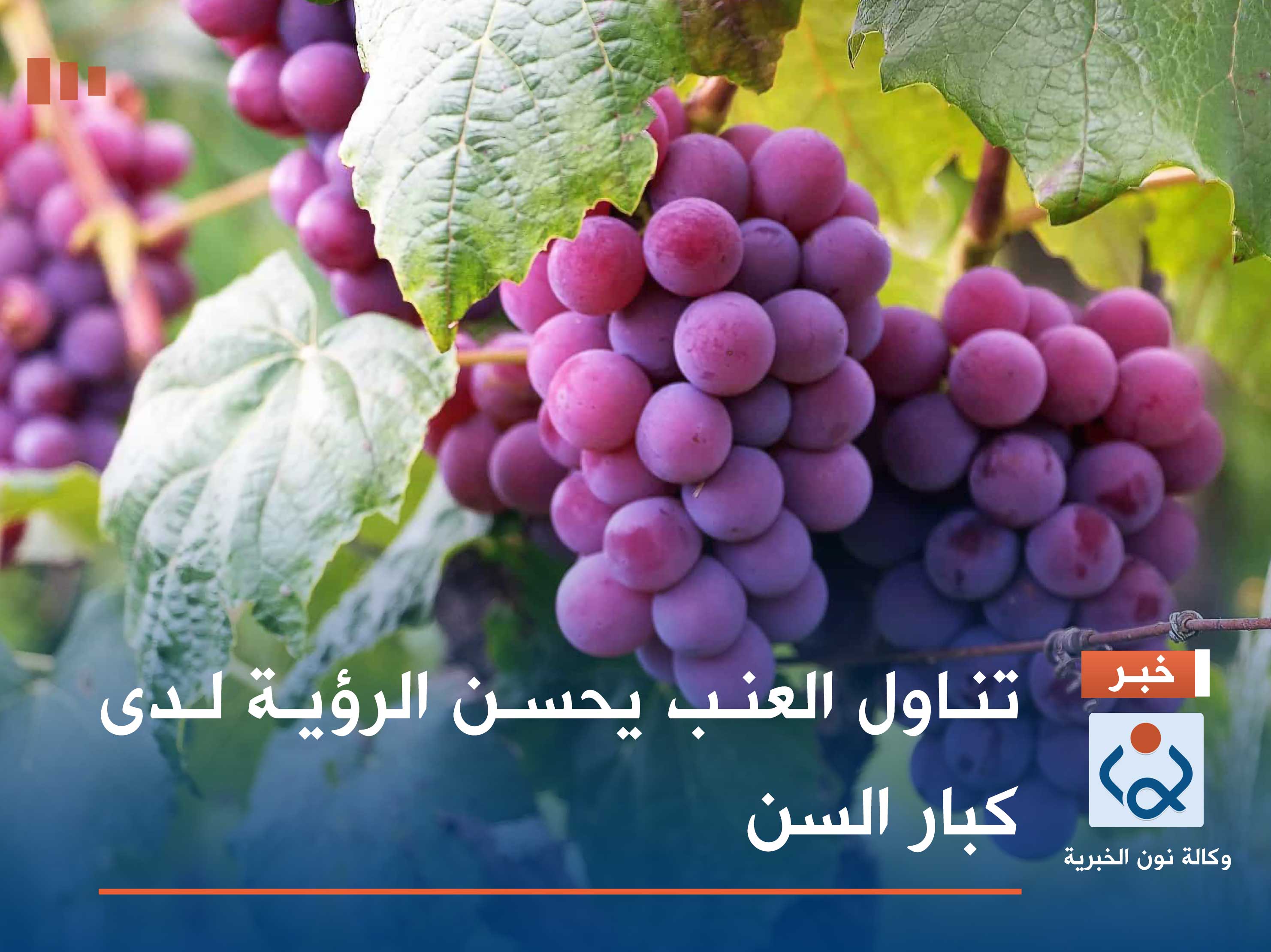 تناول العنب يحسن الرؤية لدى كبار السن