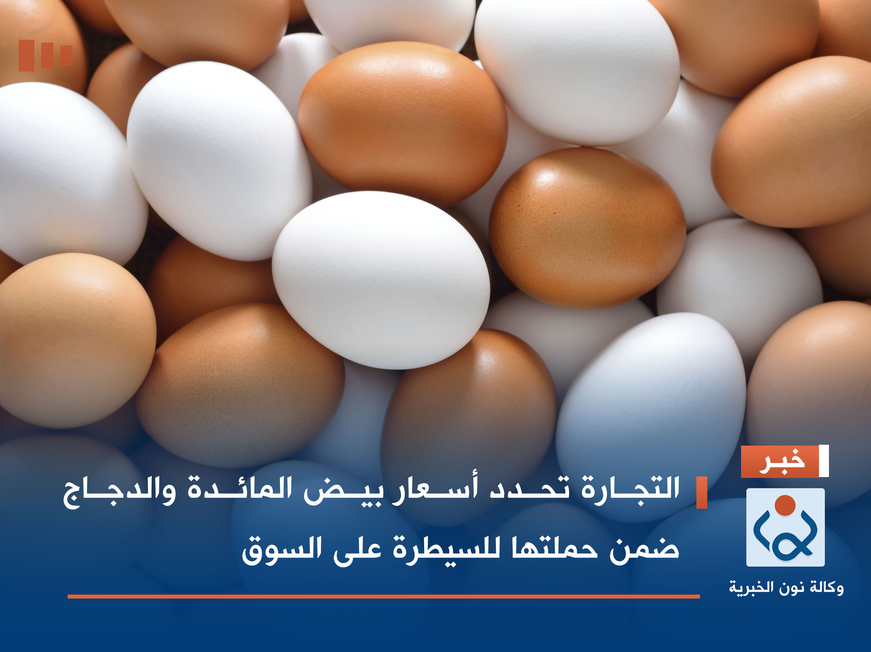 التجارة تحدد أسعار بيض المائدة والدجاج ضمن حملتها للسيطرة على السوق