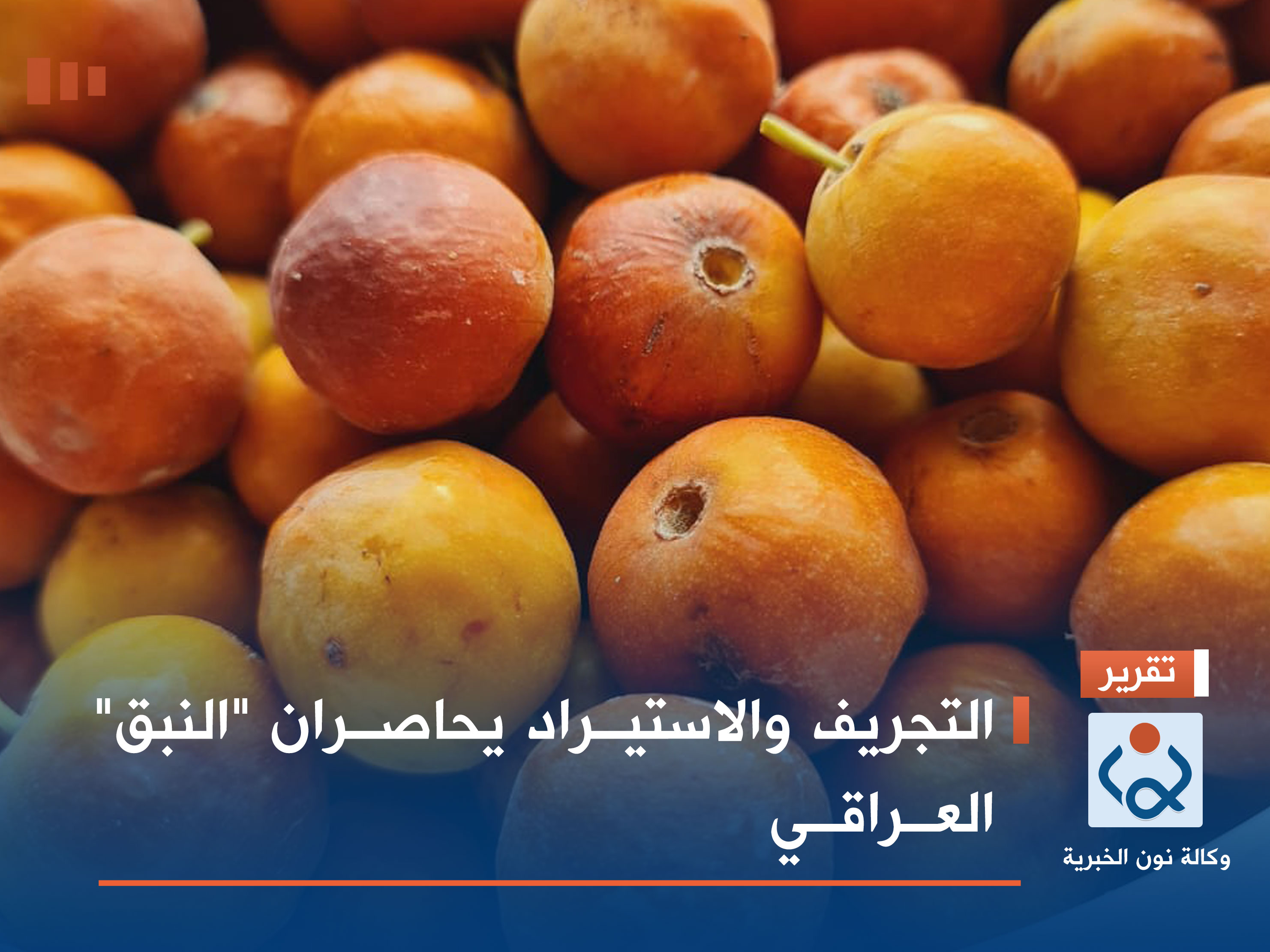 التجريف والاستيراد يحاصران "النبق" العراقي