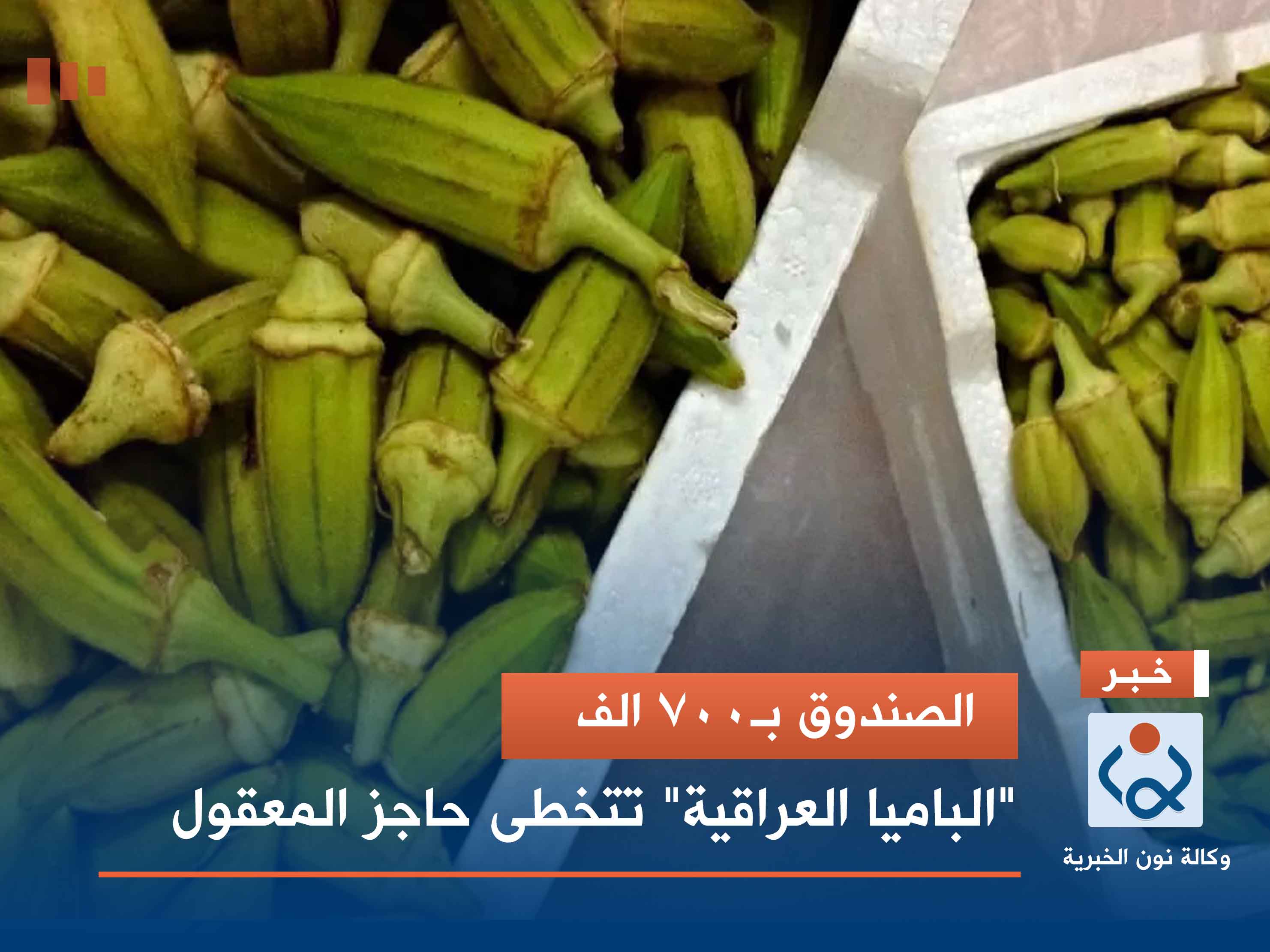 الصندوق بـ700 الف.. "الباميا العراقية" تتخطى حاجز المعقول