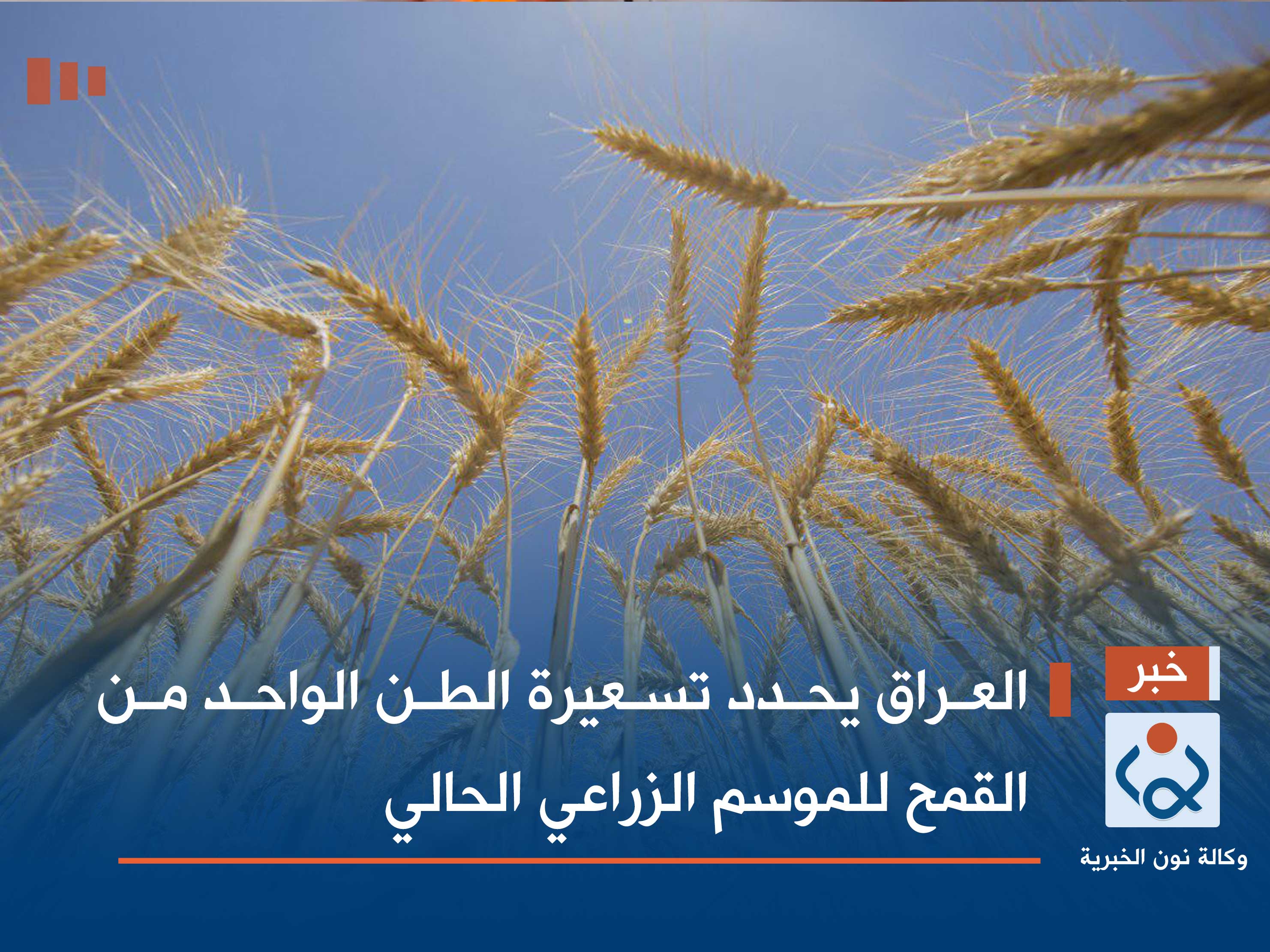 العراق يحدد تسعيرة الطن الواحد من القمح للموسم الزراعي الحالي