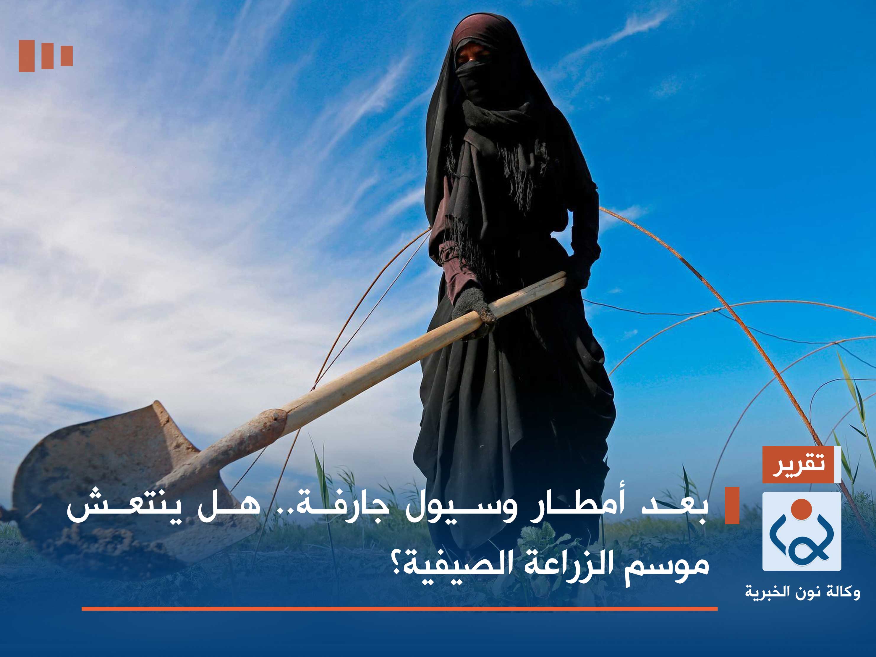 بعد أمطار وسيول جارفة.. هل ينتعش موسم الزراعة الصيفية؟