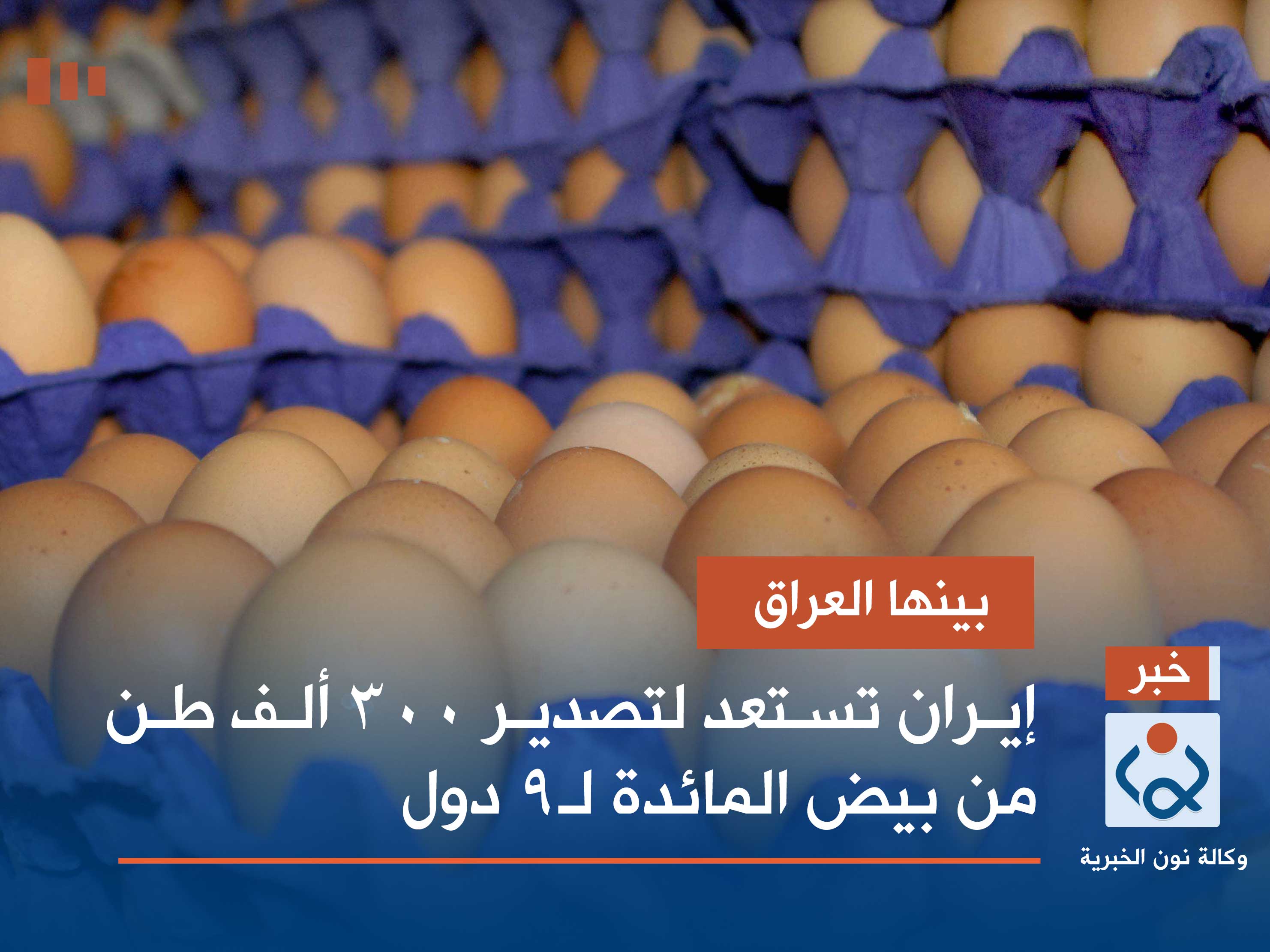 بينها العراق.. إيران تستعد لتصدير 300 ألف طن من بيض المائدة لـ9 دول