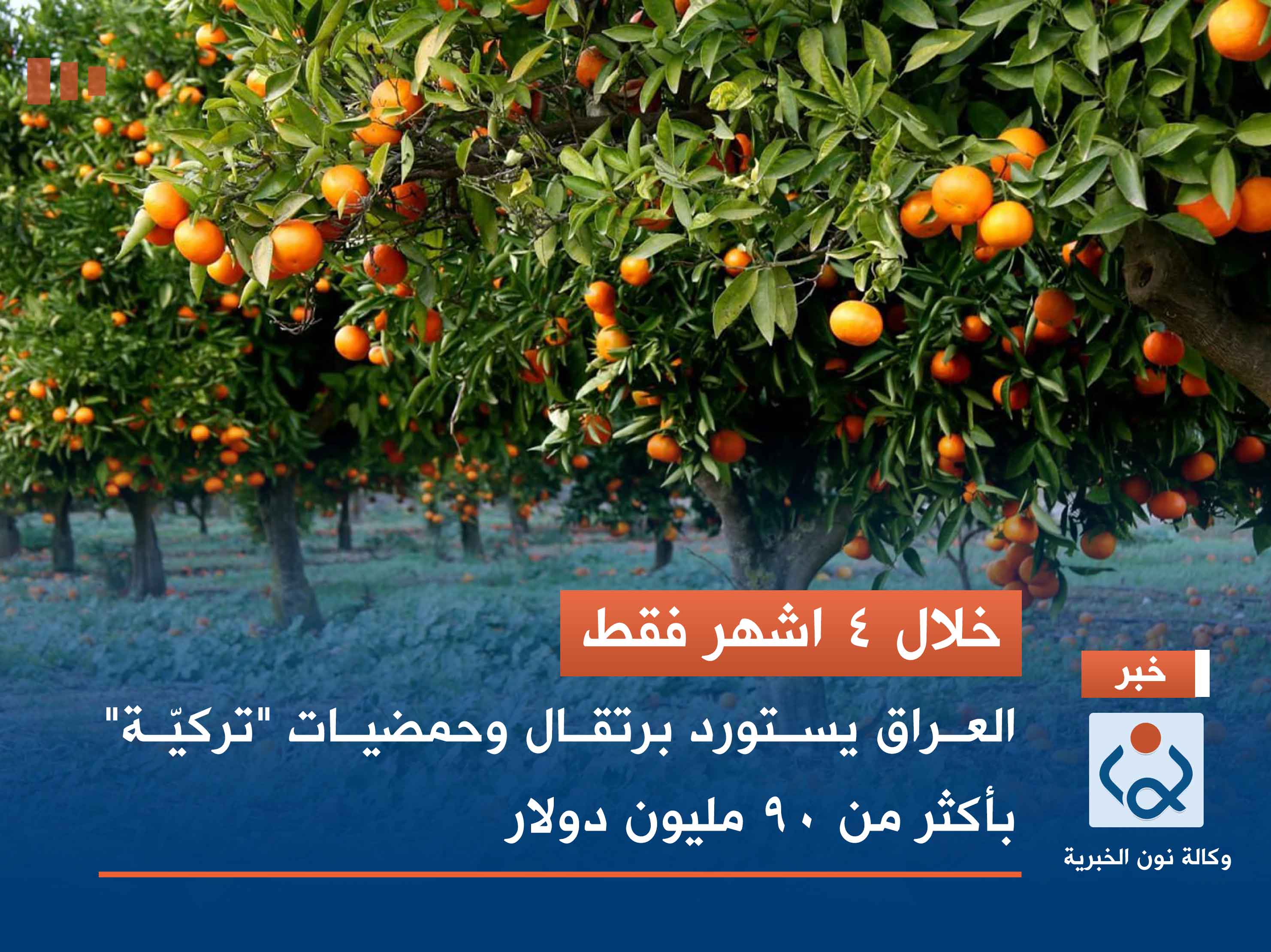 خلال 4 اشهر فقط.. العراق يستورد برتقال وحمضيات "تركيّة" بأكثر من 90 مليون دولار