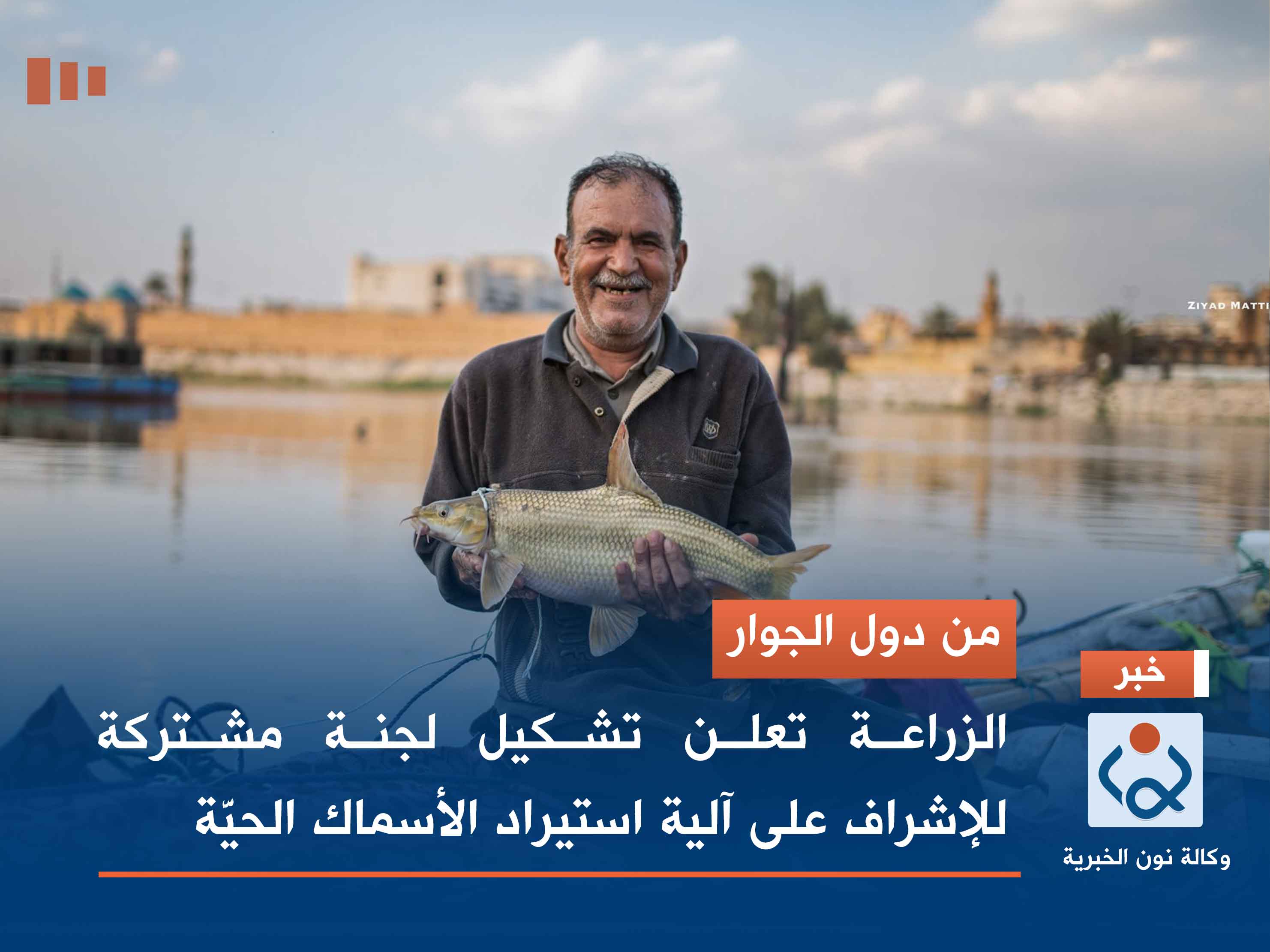 من دول الجوار.. الزراعة تعلن تشكيل لجنة مشتركة للإشراف على آلية استيراد الأسماك الحيَّة