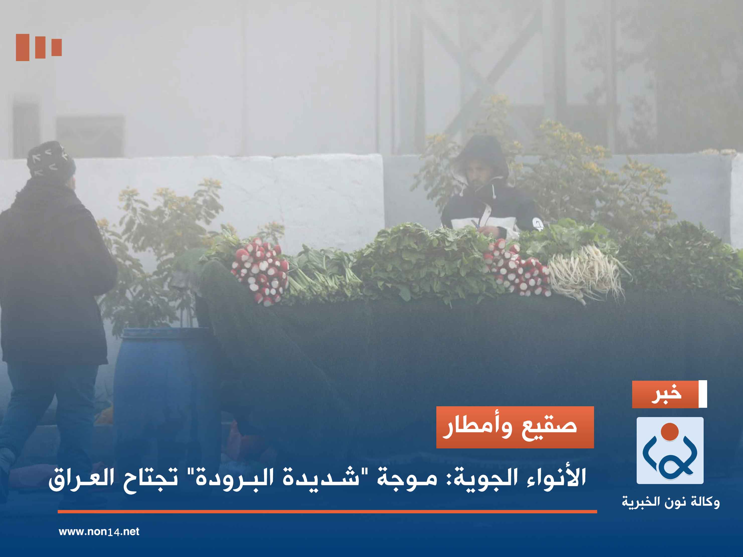 صقيع وأمطار.. الأنواء الجوية: موجة "شديدة البرودة" تجتاح العراق