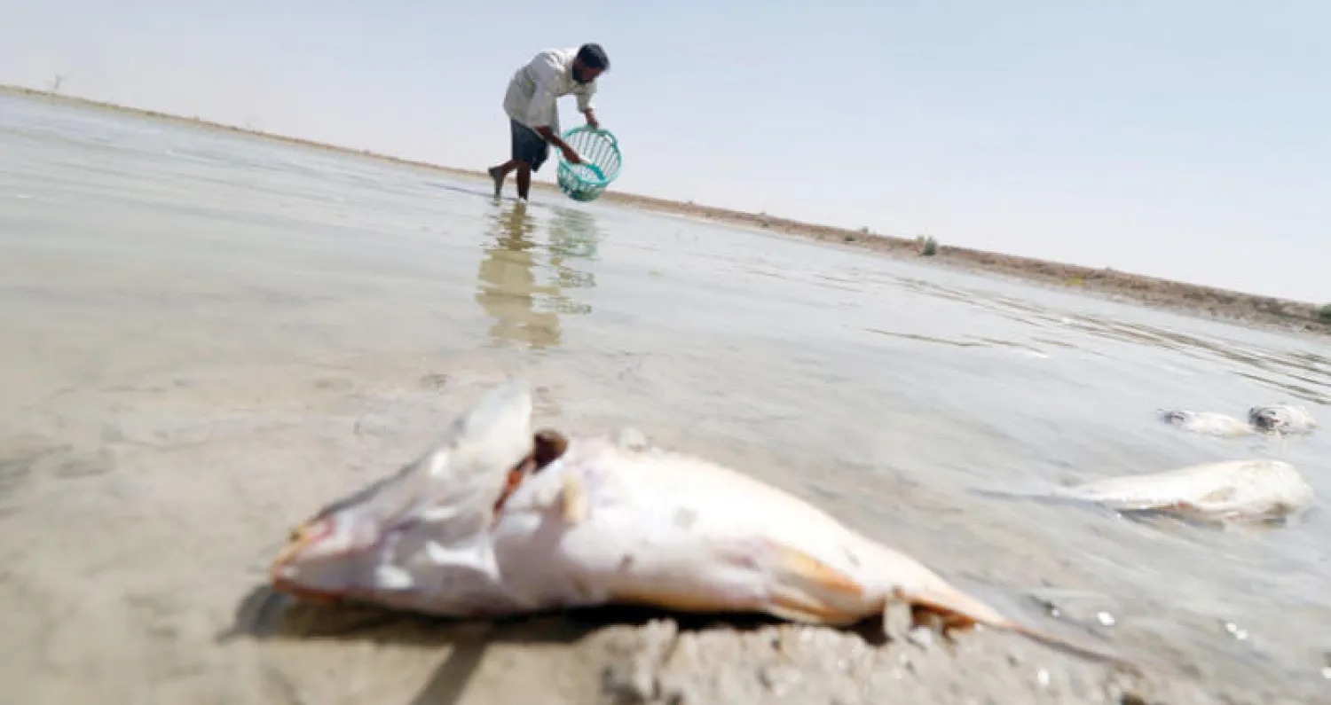 الحماية القانونية للشواطئ