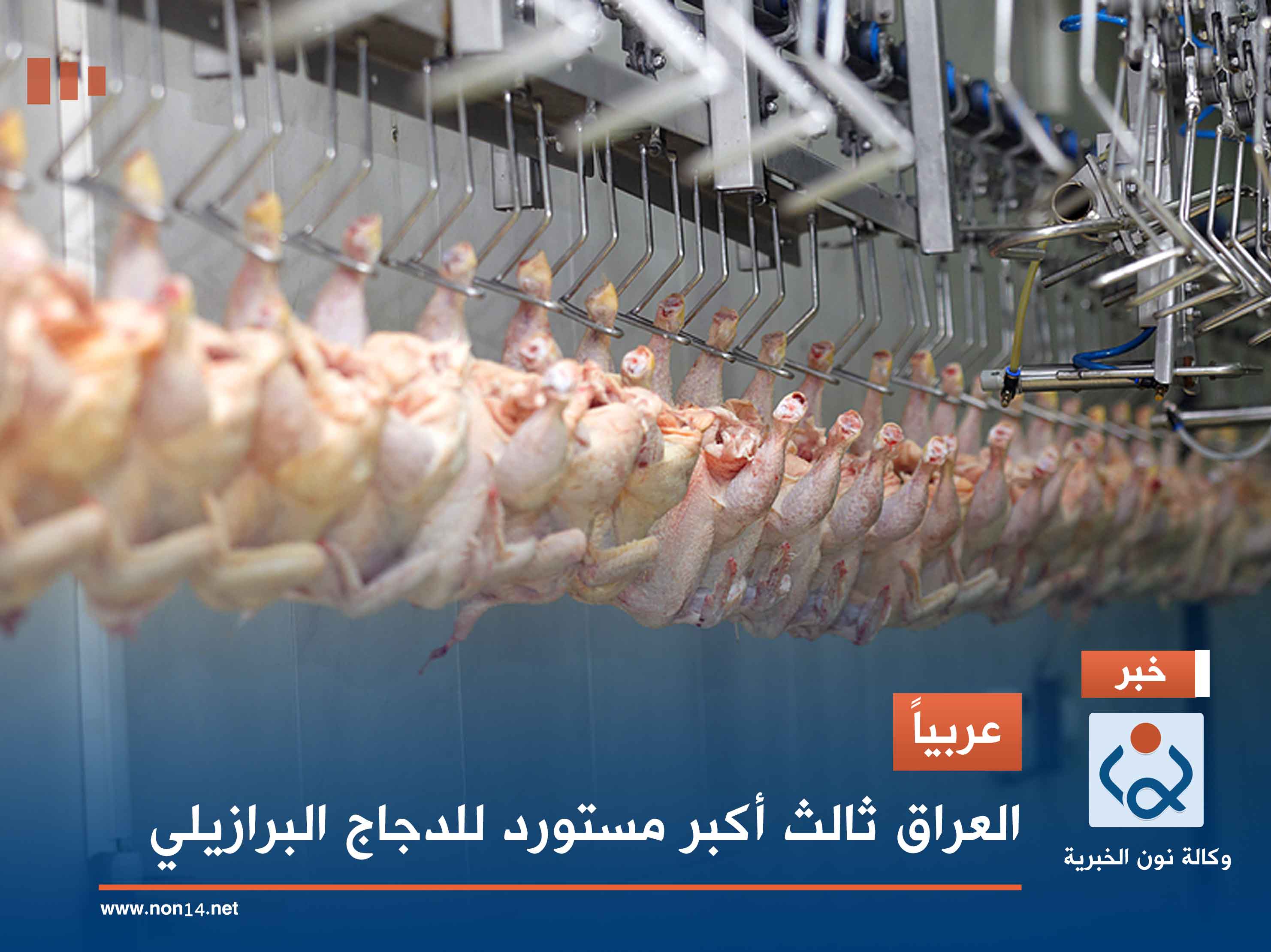 عربياً.. العراق ثالث أكبر مستورد للدجاج البرازيلي