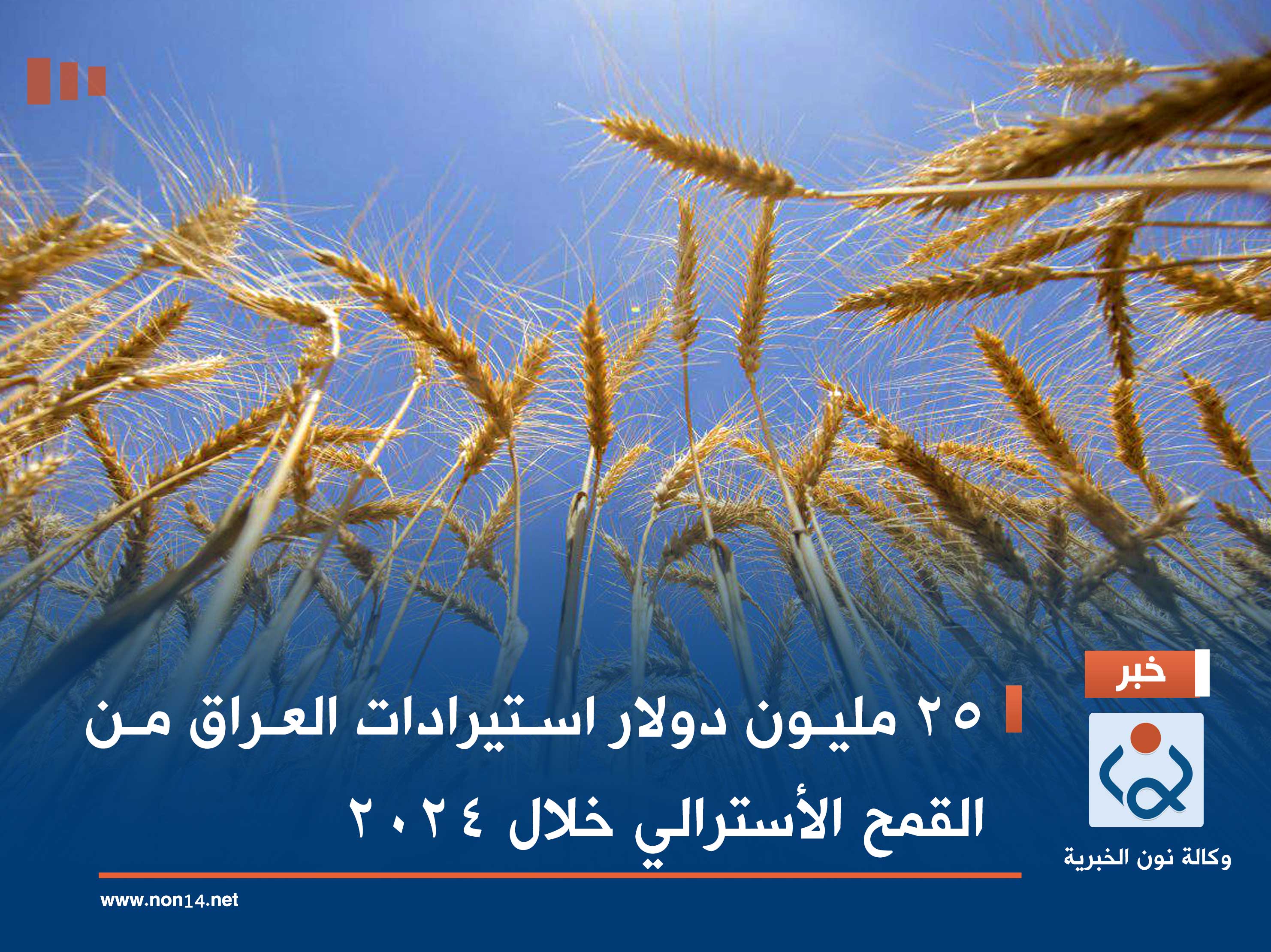 25 مليون دولار استيرادات العراق من القمح الأسترالي خلال 2024