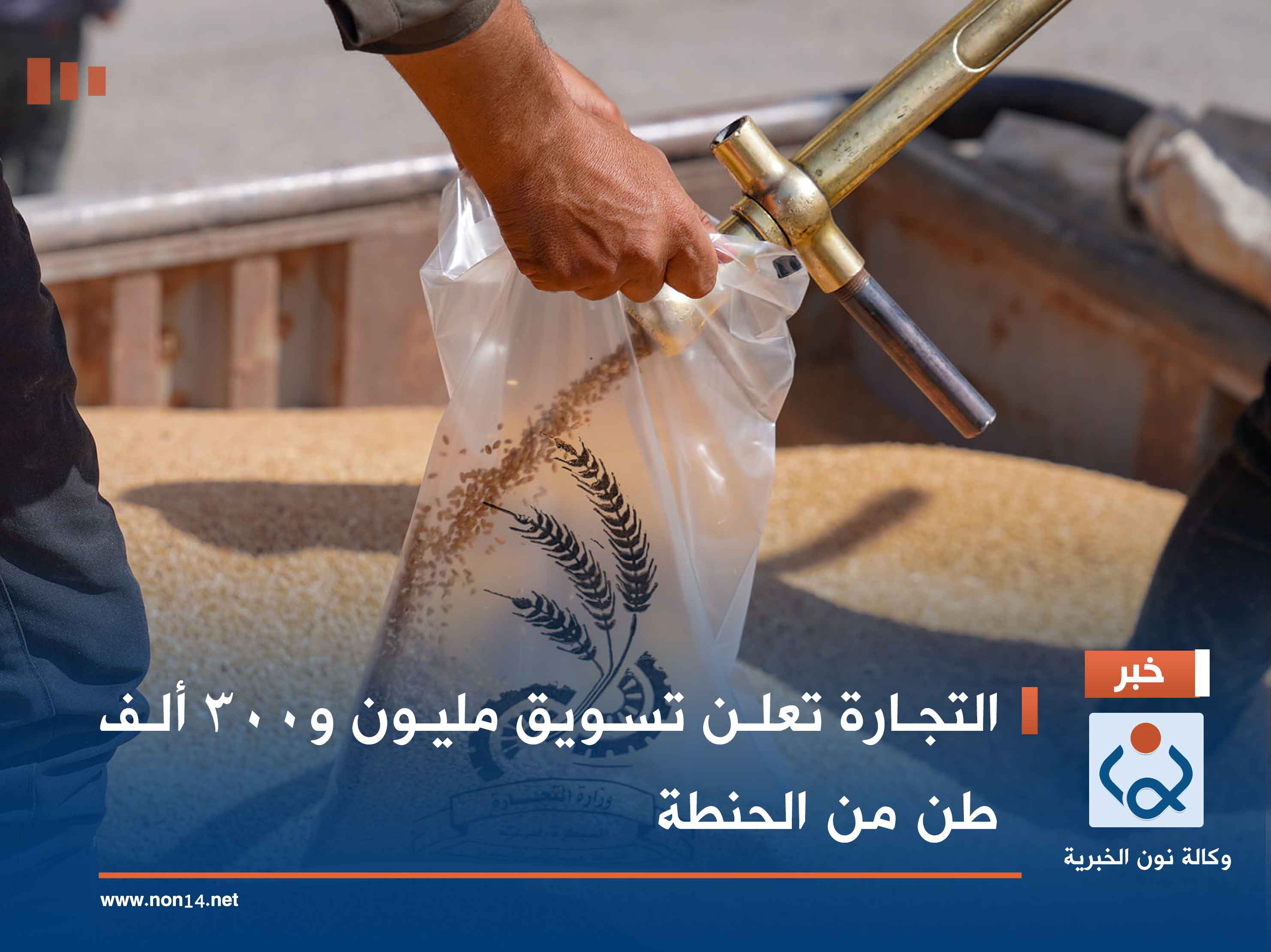 التجارة تعلن تسويق مليون و300 ألف طن من الحنطة