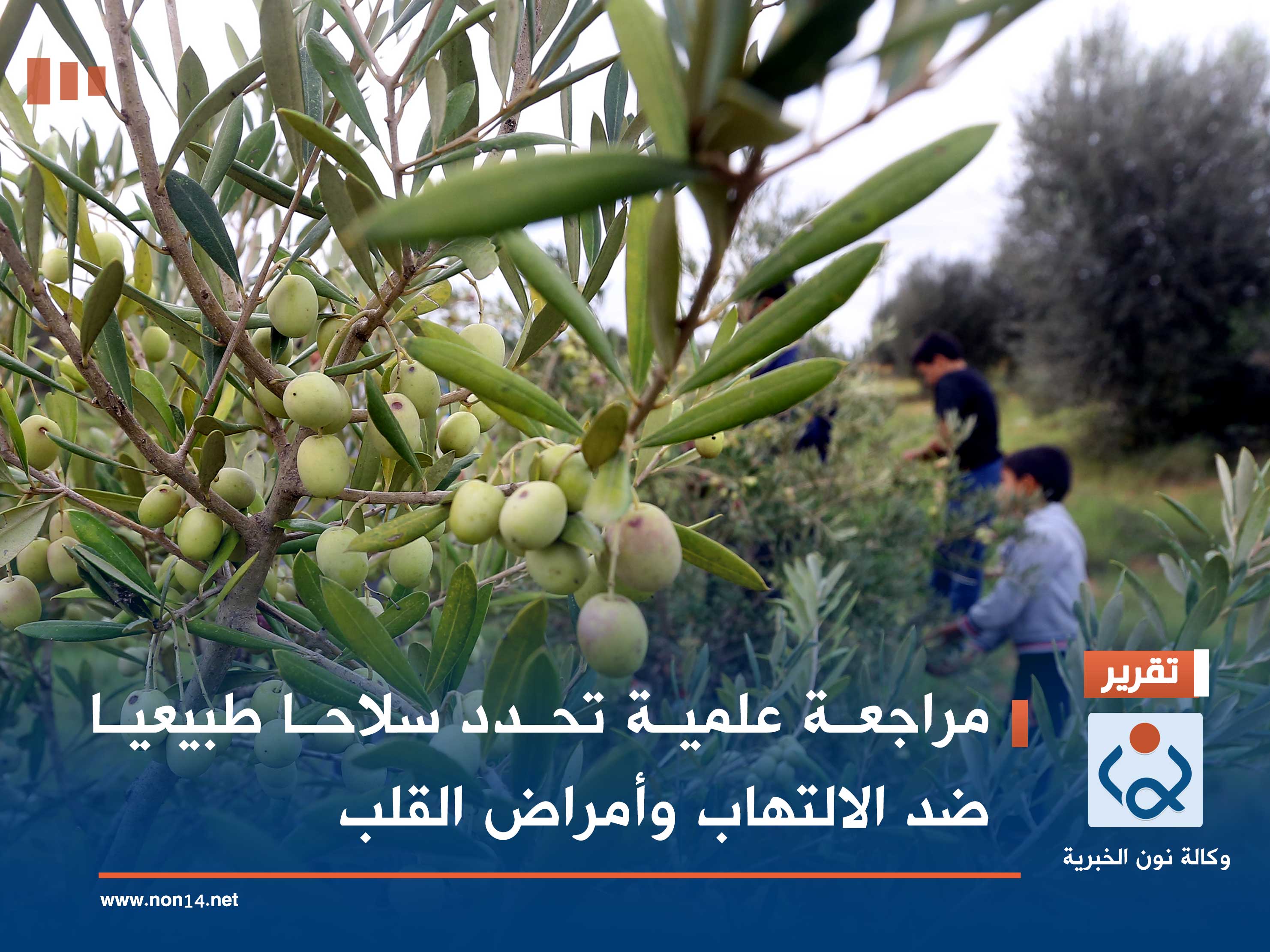 مراجعة علمية تحدد سلاحا طبيعيا ضد الالتهاب وأمراض القلب