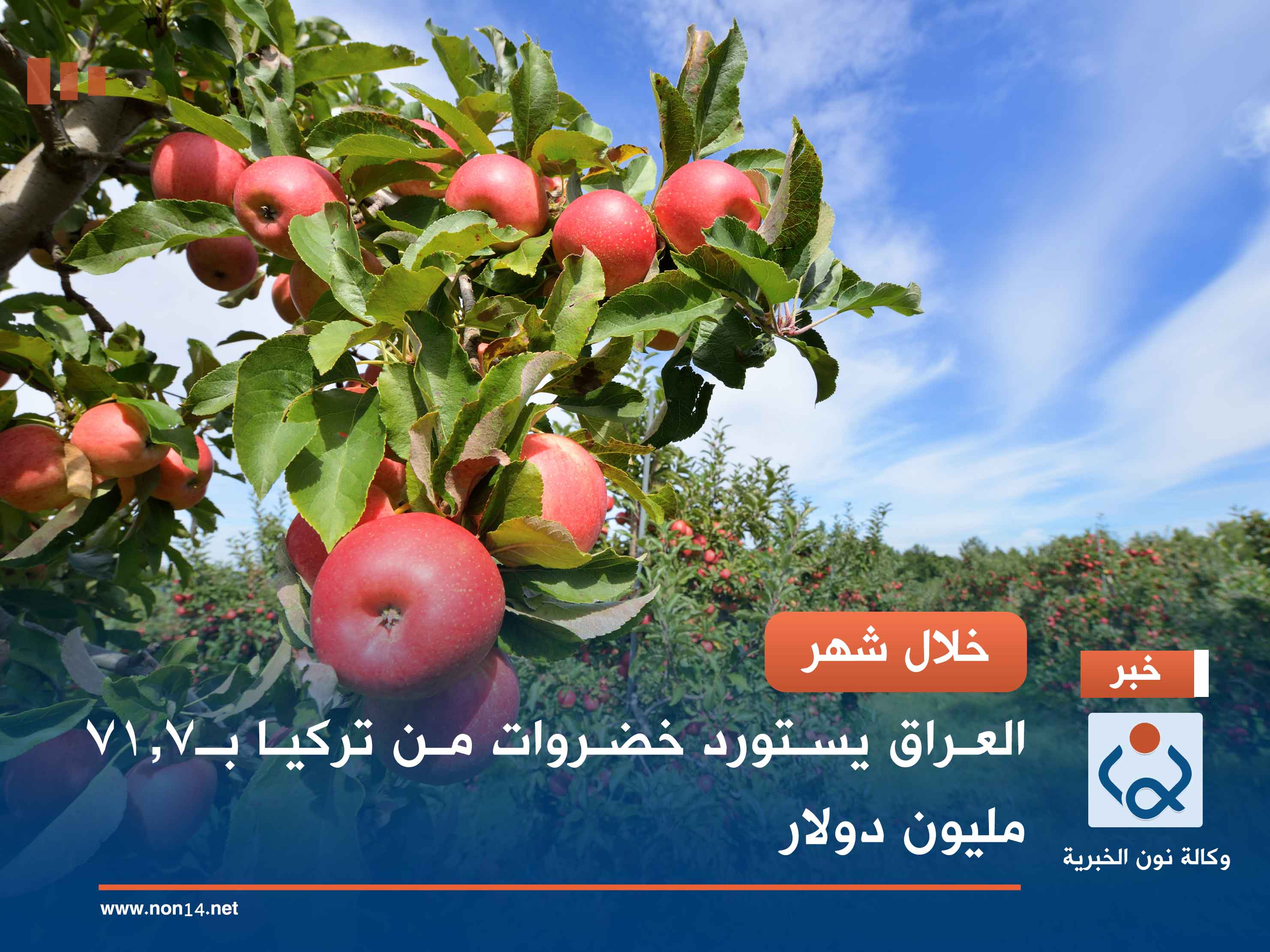 خلال شهر.. العراق يستورد خضروات من تركيا بـ71.7 مليون دولار