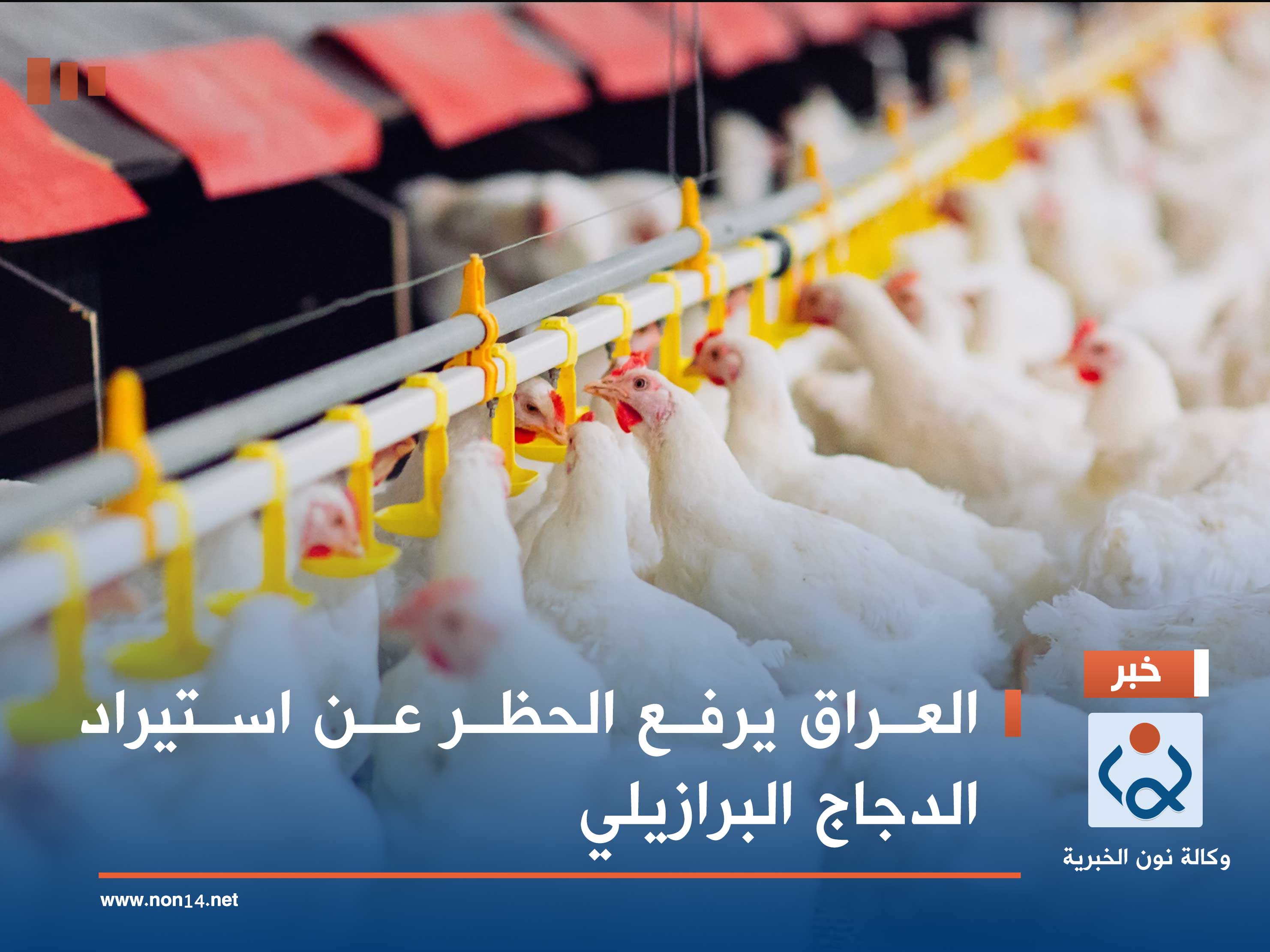 العراق يرفع الحظر عن استيراد الدجاج البرازيلي