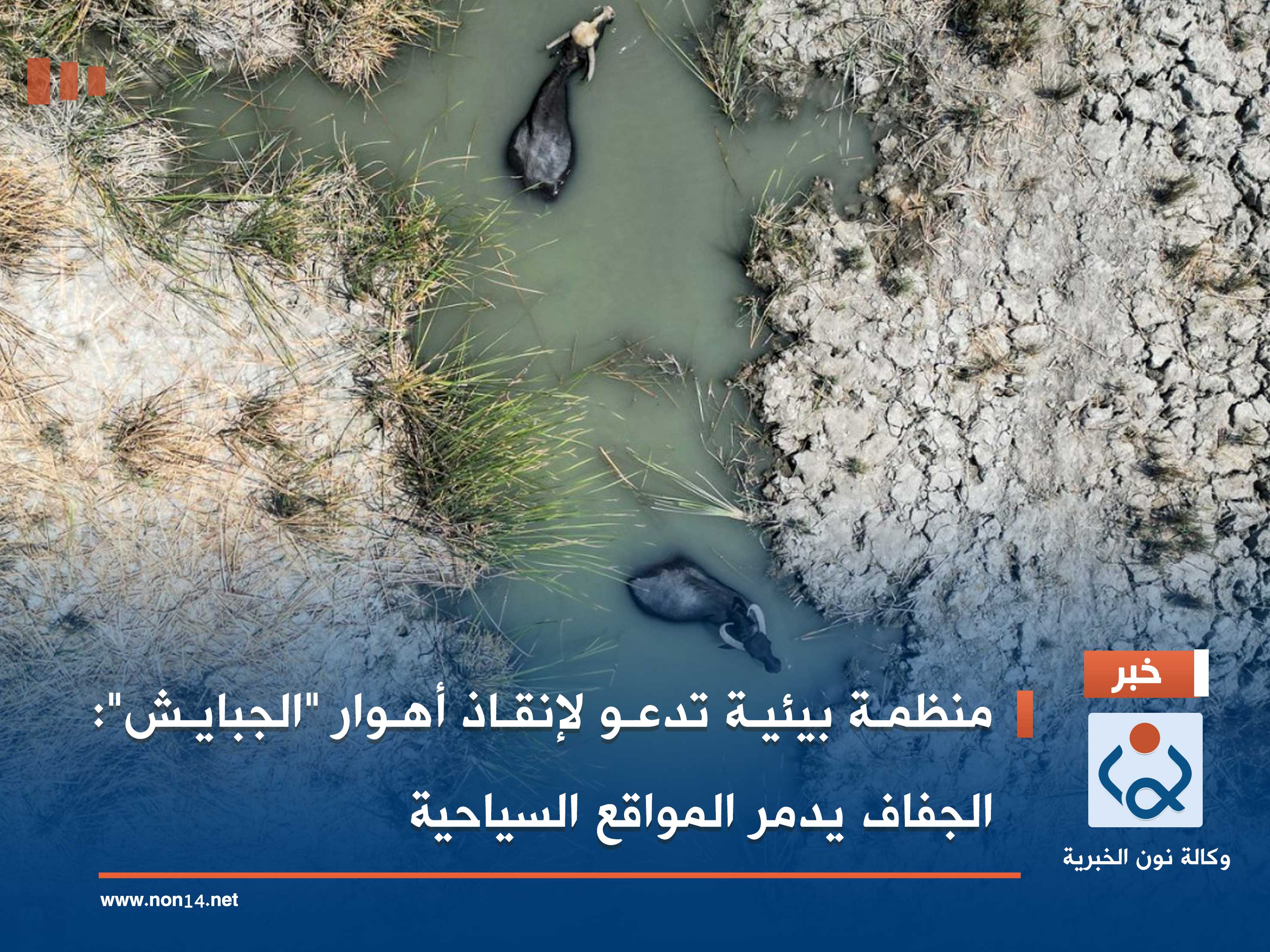 منظمة بيئية تدعو لإنقاذ أهوار "الجبايش": الجفاف يدمر المواقع السياحية