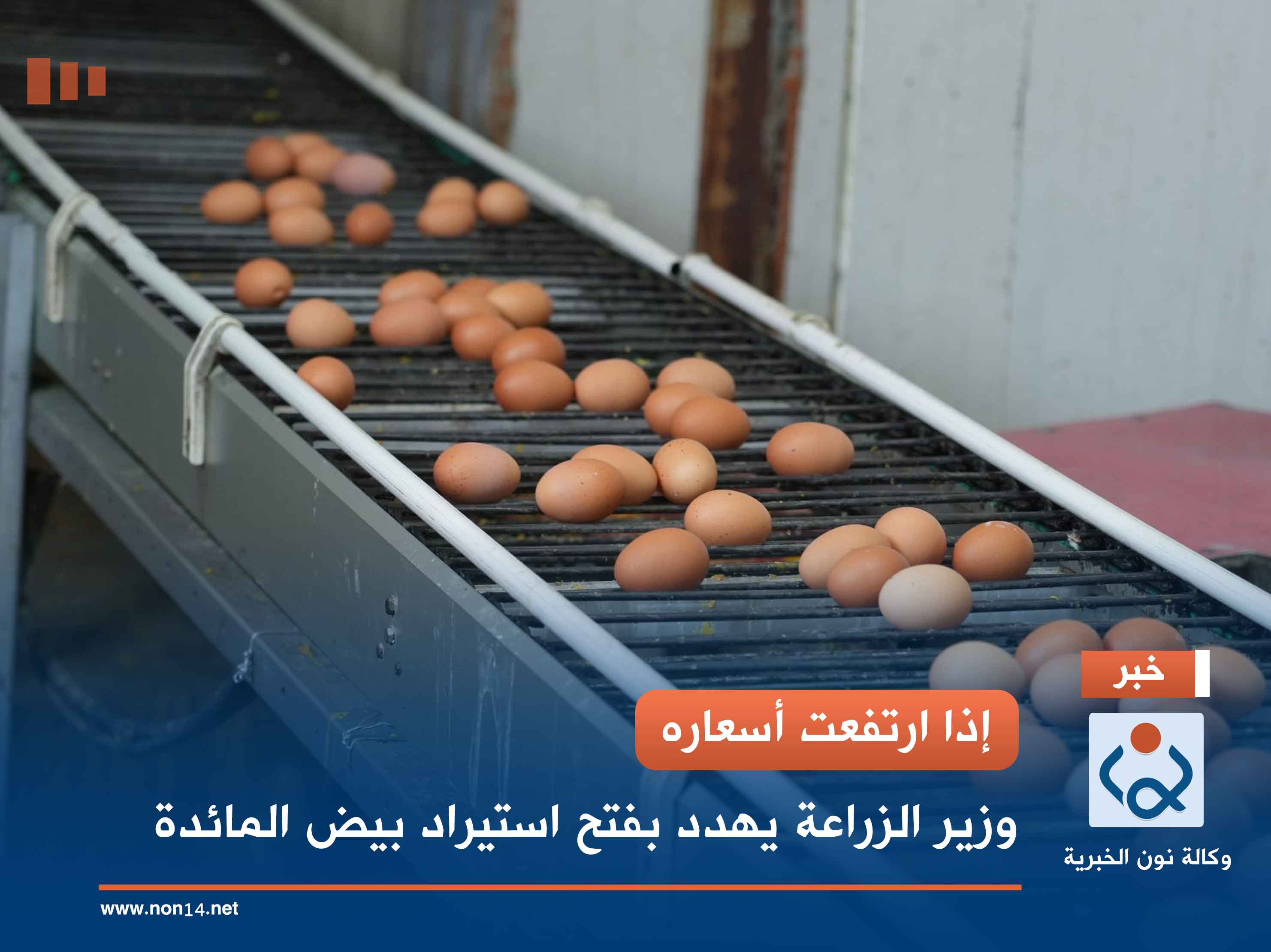 إذا ارتفعت أسعاره.. وزير الزراعة يهدد بفتح استيراد بيض المائدة