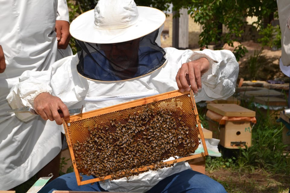 جمعية نحالي كربلاء التخصصية تناشد باستثنائها من حظر التجوال