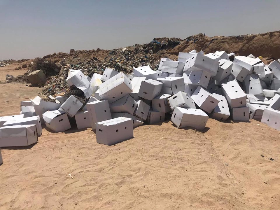 في كربلاء اتلاف 8 اطنان من البيض المورد من دولة موبوءة ..تعرف عليها