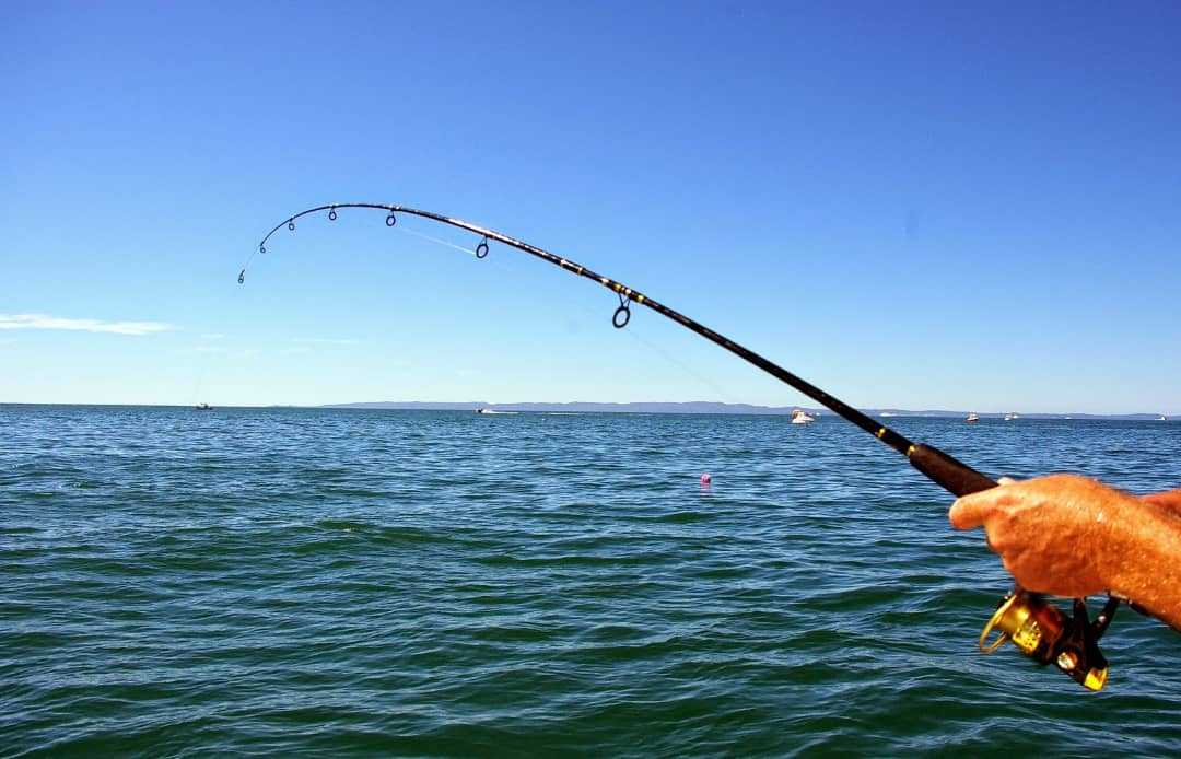 في حادثة عجيبة.. سمكة تصطاد صيادها وتنهي حياته