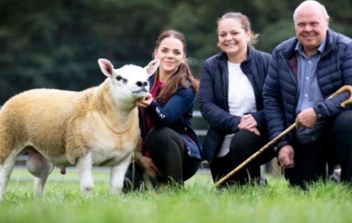 بيع خروف يبلغ من العمر 6أشهر في اسكتلندا بمبلغ 489 ألف دولار