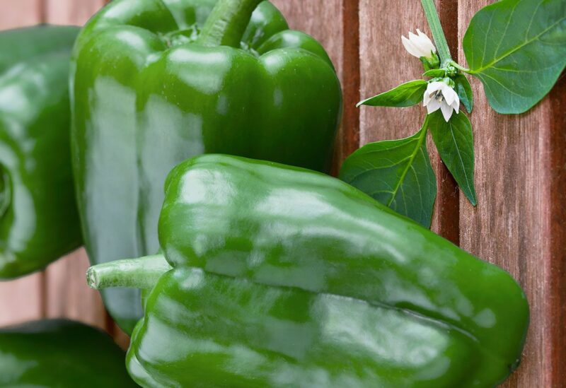 يخفف الألم والتورم .. فوائد مدهشة للفلفل الأخضر