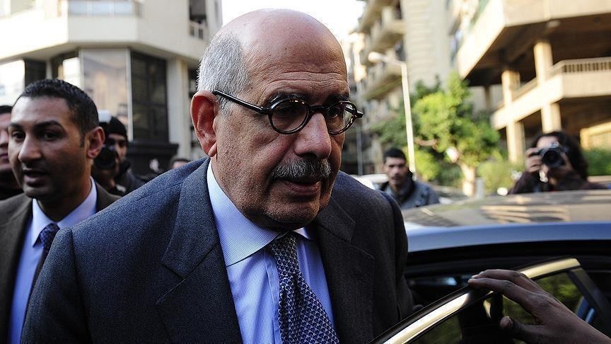 البرادعي: الحوار مع تركيا وإيران أمر لا يحتمل التأجيل