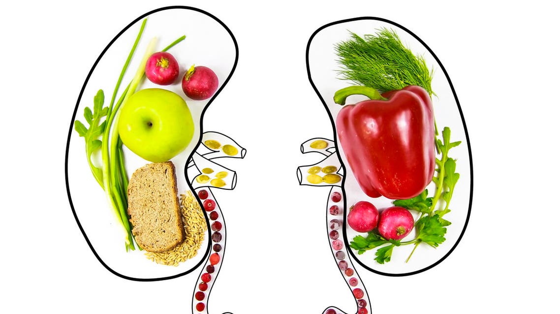 بصل وثوم وماء.. كيف تحمي كليتيك من الأمراض؟