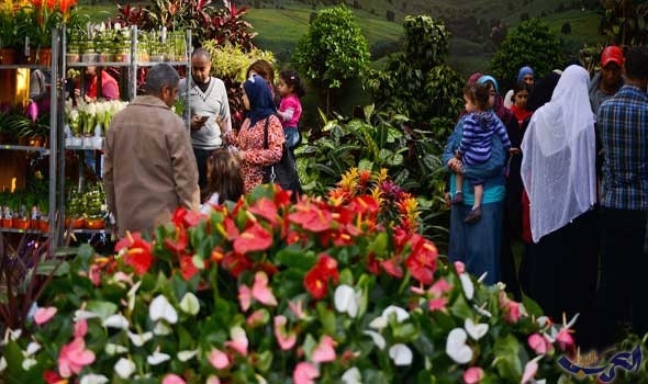 احتفال بيوم الربيع بدأ من العراق واعتمدته الأمم الأخرى رأساً لسنتها الشمسية؟