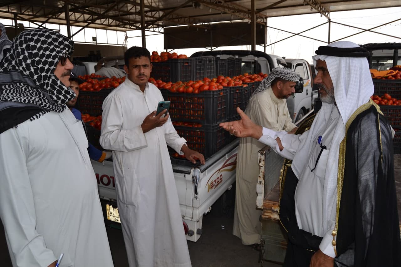 كربلاء تسوق محصول الطماطم إلى الأسواق وتطالب بغلق الحدود للحد من الاستيراد