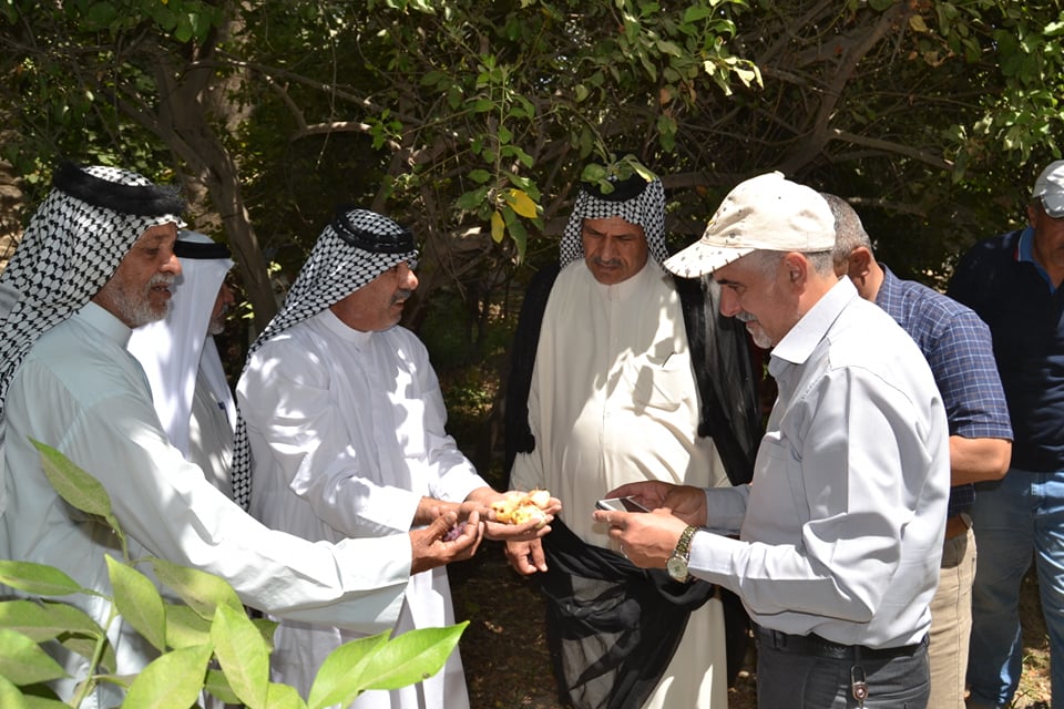 كربلاء:كشف موقعي على الأضرار التي لحقت بأشجار الفاكهة