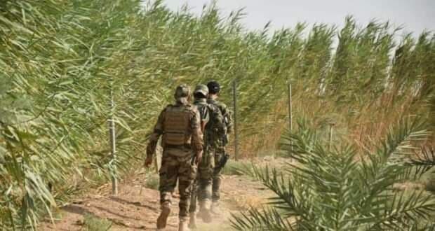 الحشد الشعبي ينفذ عملية امنية في جرف النصر