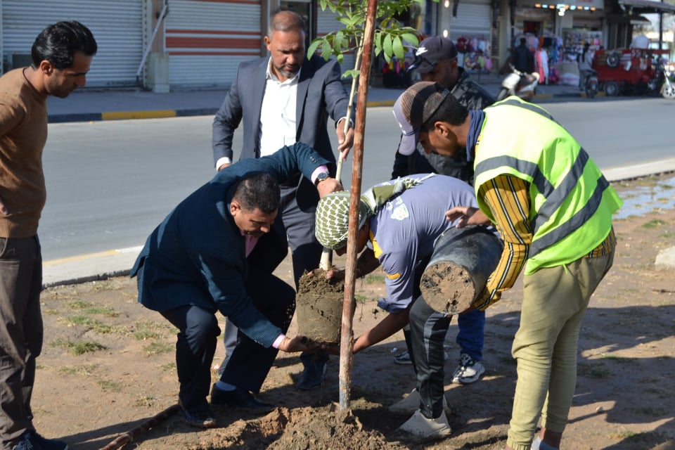 بالصور:نحالو كربلاء يطلقون حملة تطوعية لزراعة الأشجار الرحيقية في الحدائق والمتنزهات والجزرات الوسطية