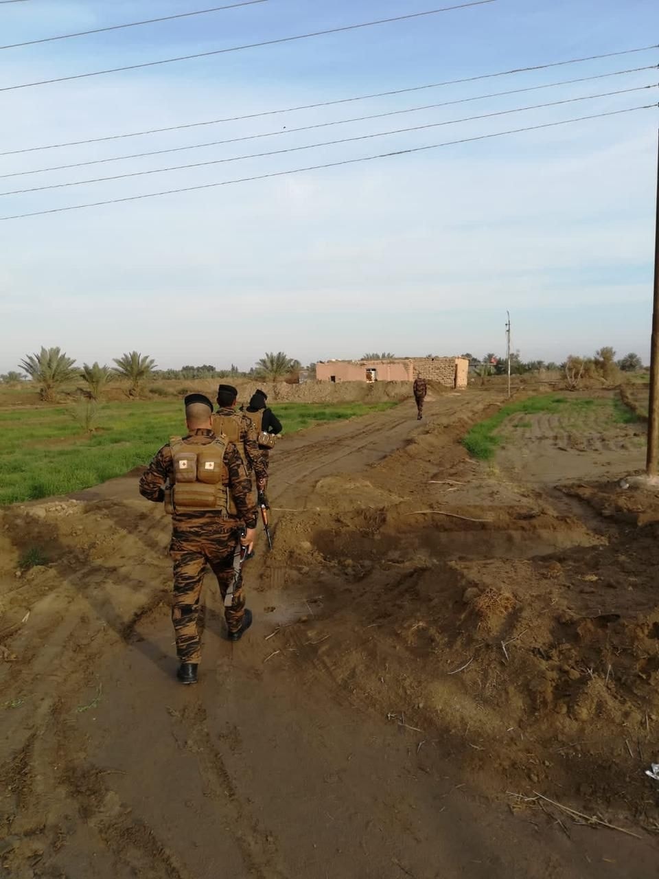 بالصور:الشرطة في كربلاء تقوم بعملية تفتيش وتمشيط لحدودها مع بابل