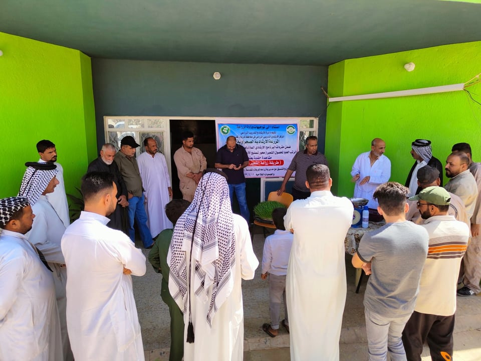 كربلاء : مشاهدة حقلية حول طريقة زراعة الشعير المستنبت